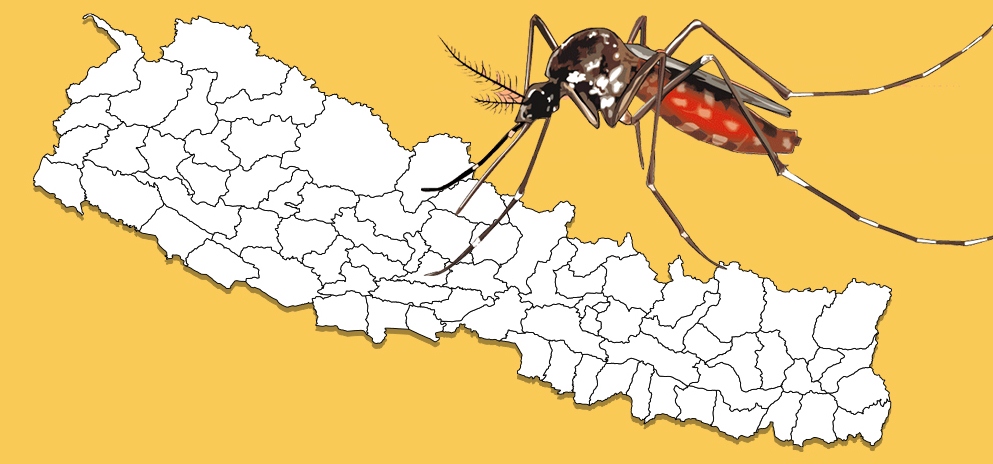 फैलिँदै डेंगुः माघदेखि चैत्र १५ सम्म ३ सय जनामा पुष्टि