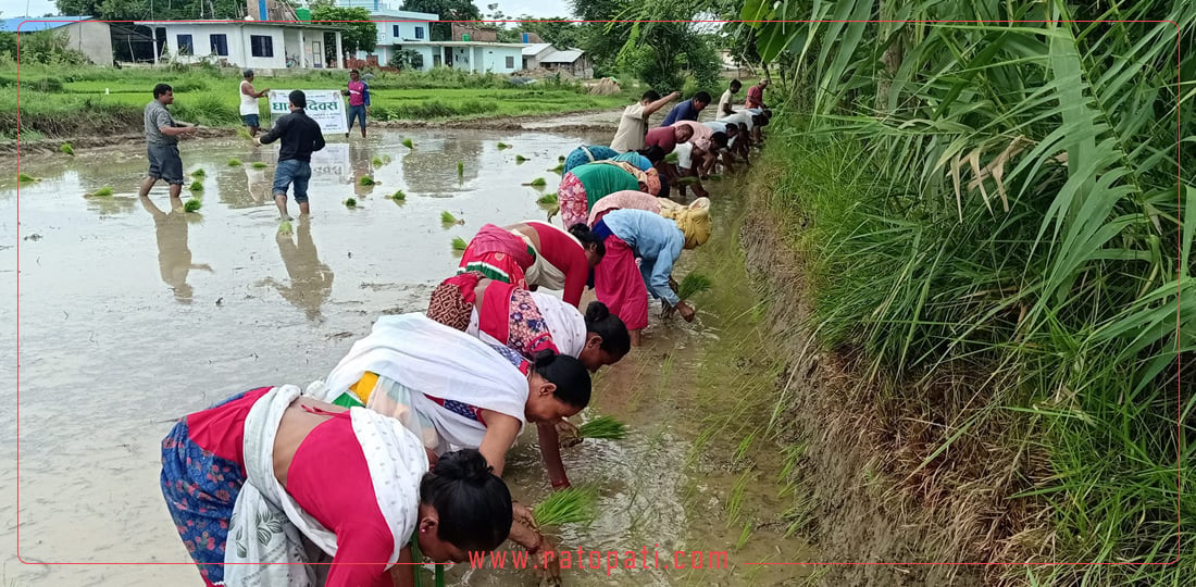 अरे रानी भिजै रंगि रे महलिया, पिहा हो परुडेसे .....