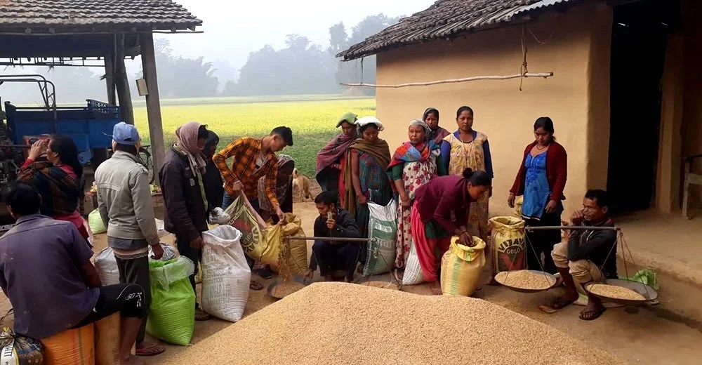 कैलालीमा बरघर प्रणाली जोगाउन पारिश्रमिकको व्यवस्था