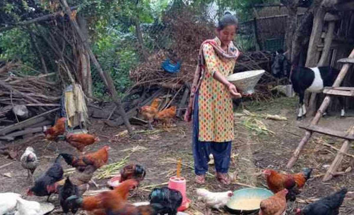 भ्यासकटोमी भाले पाल्नेलाई पालिकाको अनुदान
