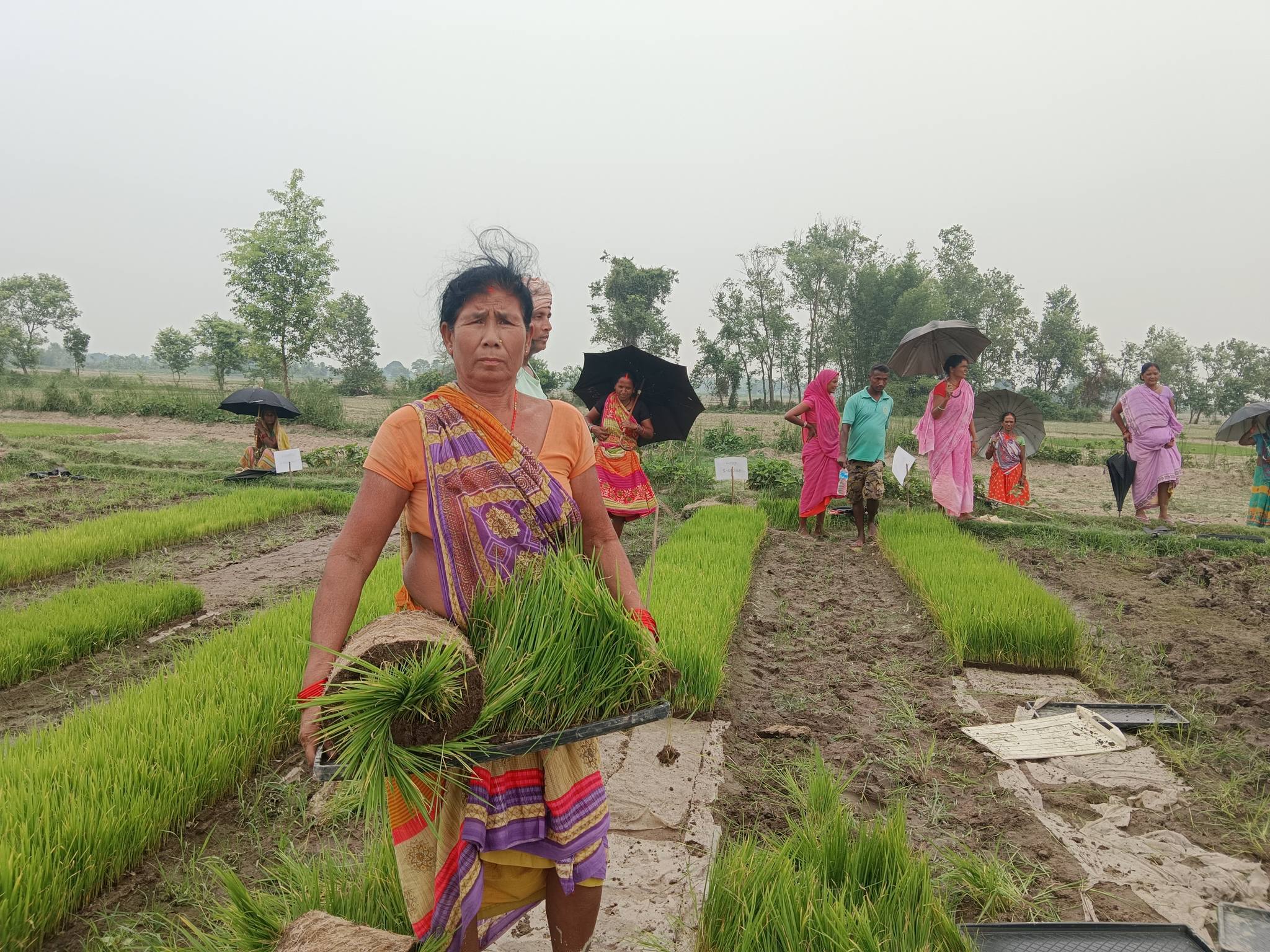 किसानको नियति