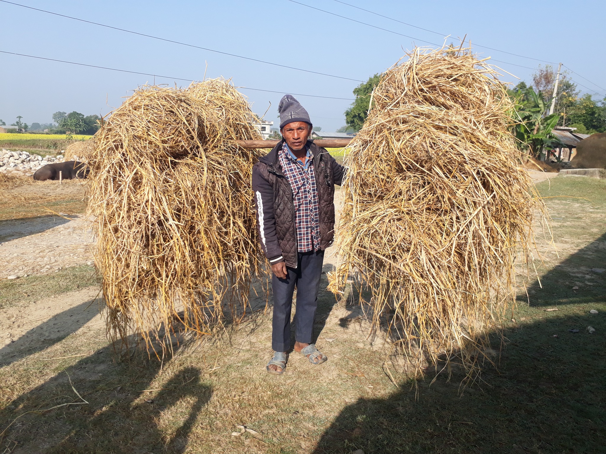 माटो, पसिना र मेरा बा